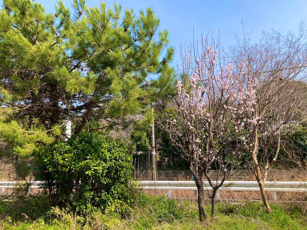 f:id:onboroALFA:20250323120417j:image f:id:onboroALFA:20250323120417j:image