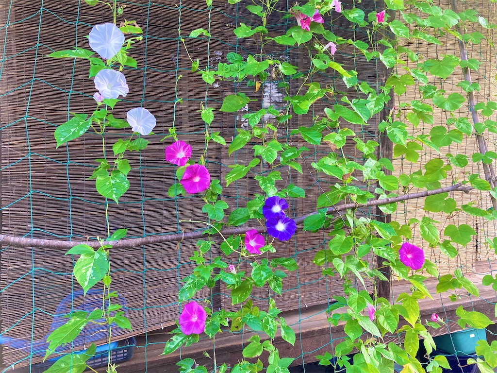 f:id:onboroALFA:20250912103616j:image