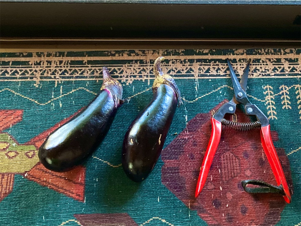 f:id:onboroALFA:20250912103620j:image