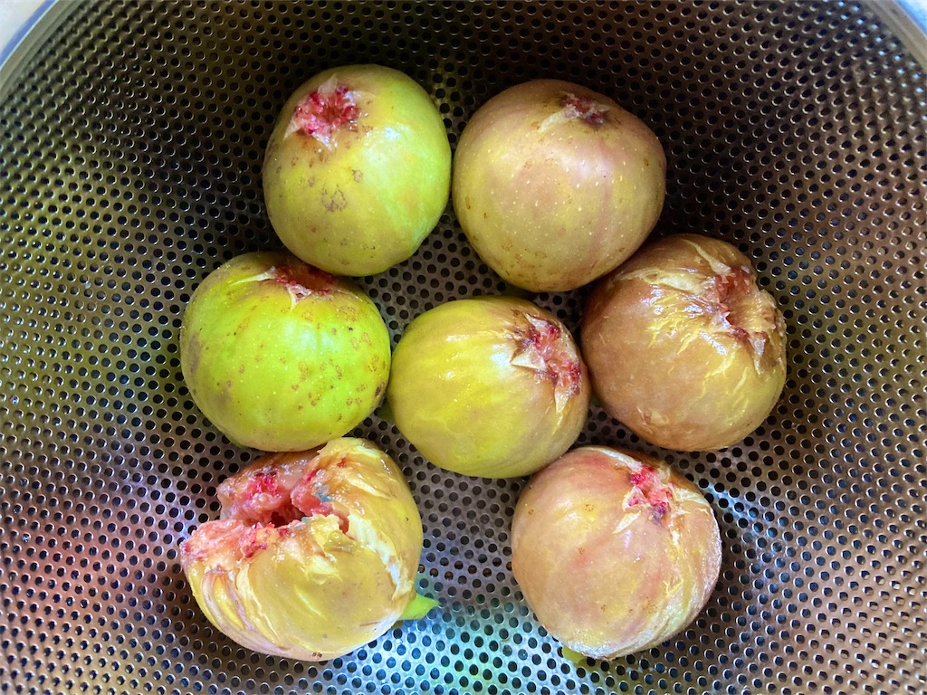 f:id:onboroALFA:20250912103624j:image