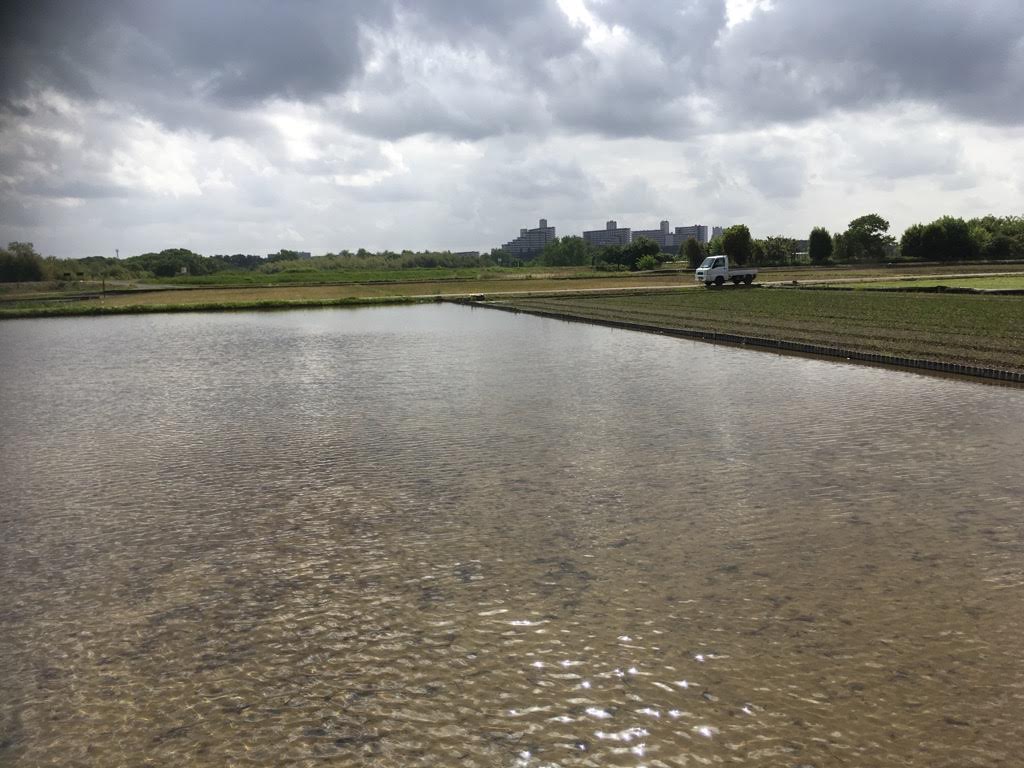 f:id:onbu8:20190523144946j:plain