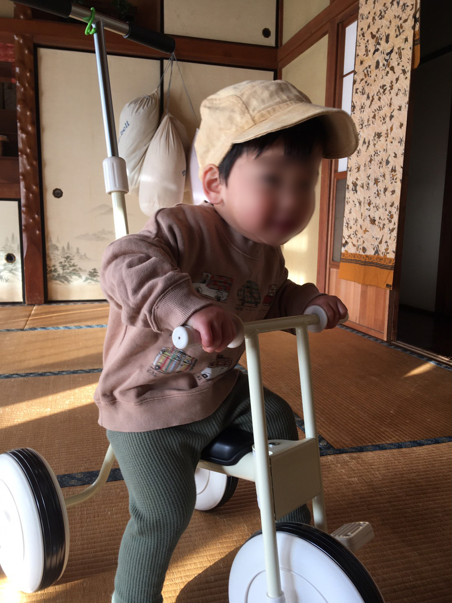 f:id:onbu8:20210118194041j:plain
