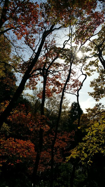 f:id:onbullshit:20190212214738j:plain