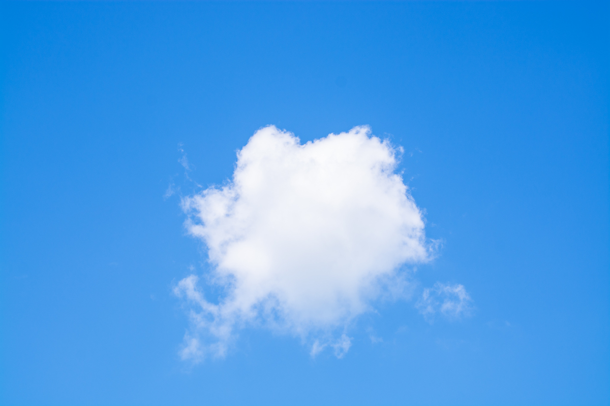 f:id:onbullshit:20190808210155j:plain f:id:onbullshit:20190808210155j:plain