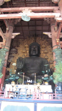 f:id:onco:20070920211943j:image f:id:onco:20070920211943j:image