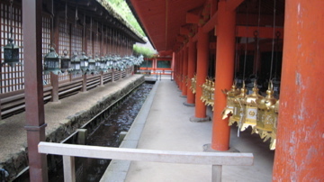 f:id:onco:20070920212341j:image f:id:onco:20070920212341j:image