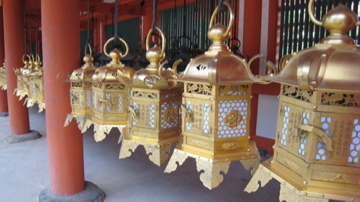 f:id:onco:20070920212419j:image f:id:onco:20070920212419j:image