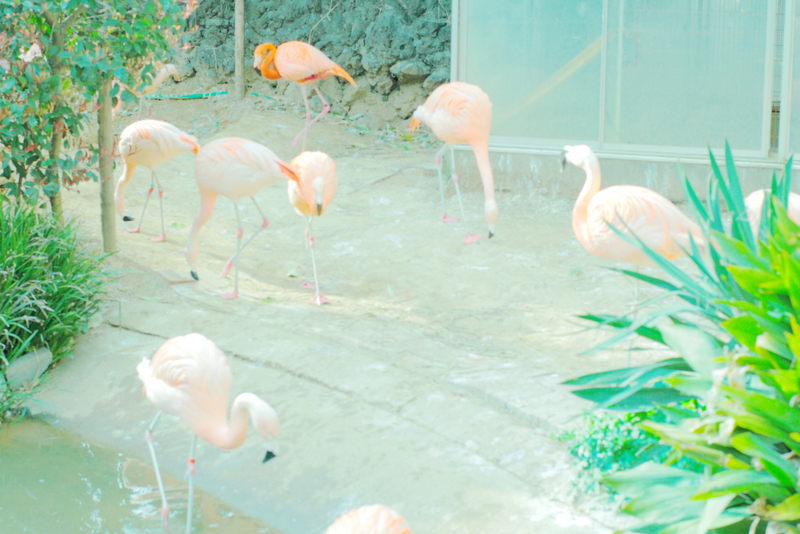 f:id:ondesign1:20120816220623j:image:w360 f:id:ondesign1:20120816220623j:image:w360