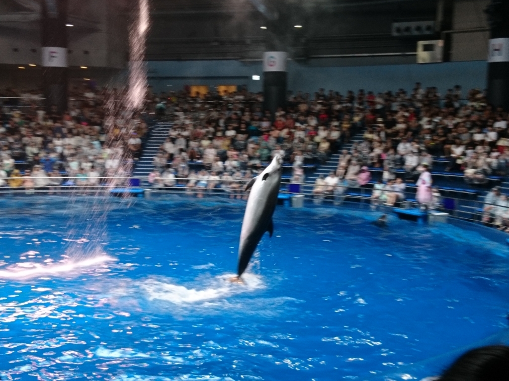 f:id:one-chance:20170815152646j:plain