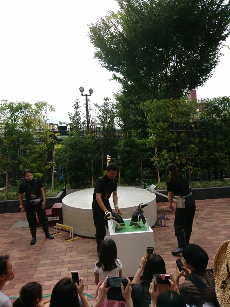 f:id:one-chance:20170815152824j:plain