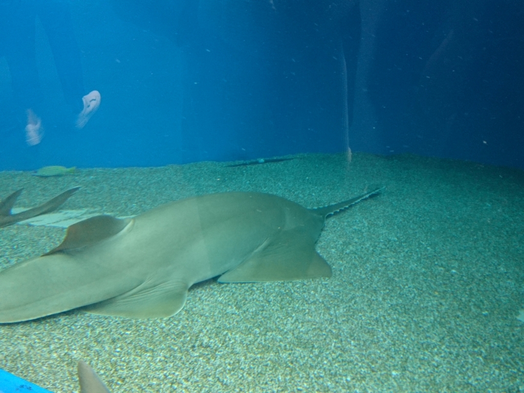 f:id:one-chance:20170815153046j:plain