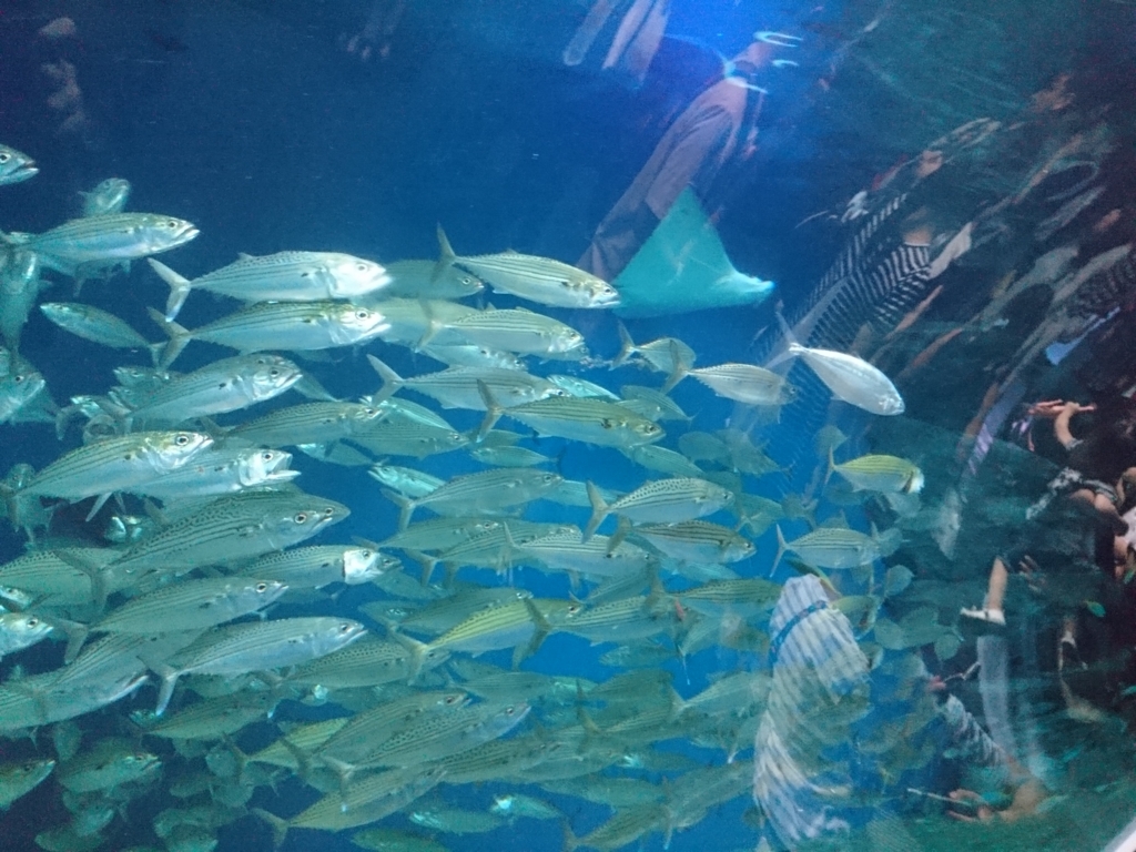 f:id:one-chance:20170815153118j:plain