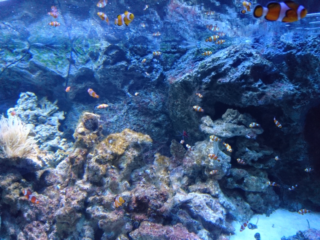 f:id:one-chance:20170815153423j:plain