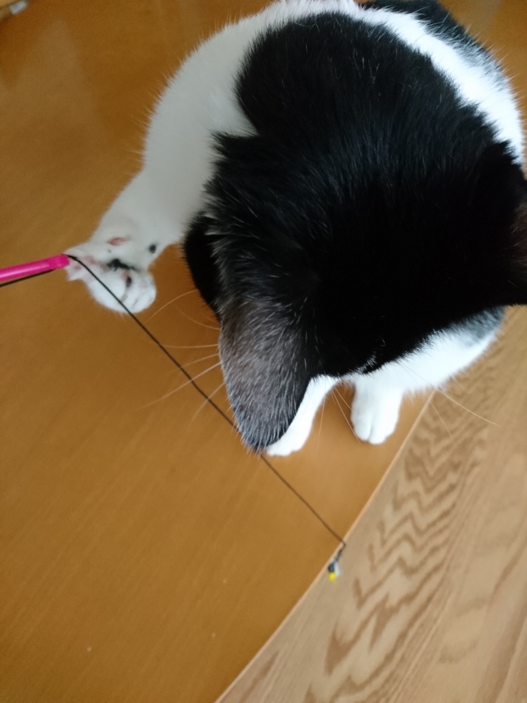 f:id:one-chance:20171027225439j:plain