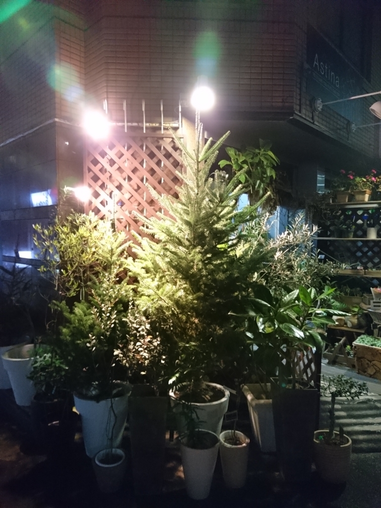 f:id:one-chance:20171113222457j:plain