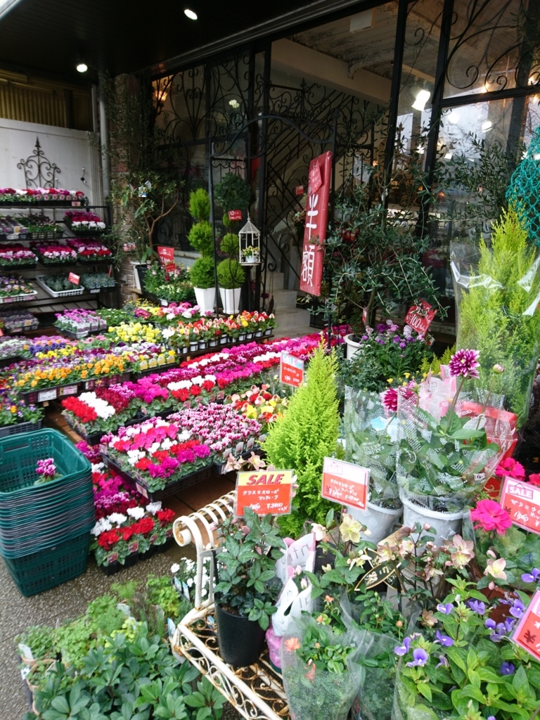 f:id:one-chance:20171126194143j:plain