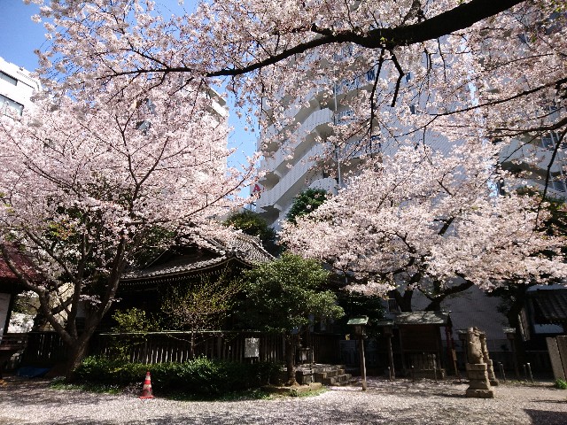 f:id:one-chance:20180413192823j:image