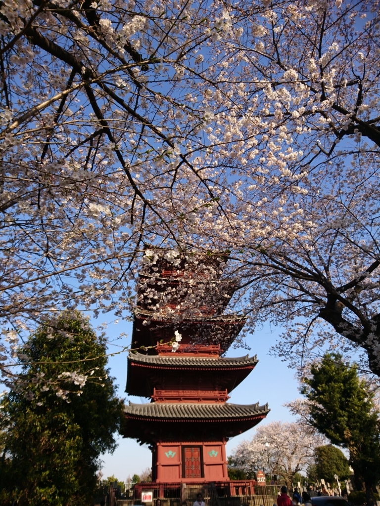 f:id:one-chance:20180415215106j:plain