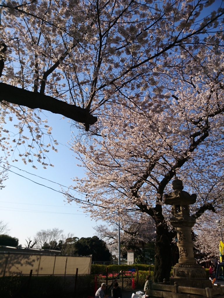 f:id:one-chance:20180415215255j:plain