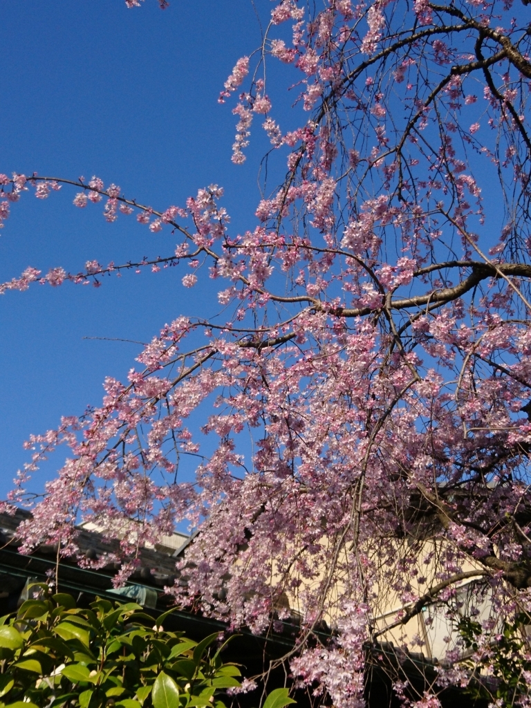 f:id:one-chance:20180415215326j:plain