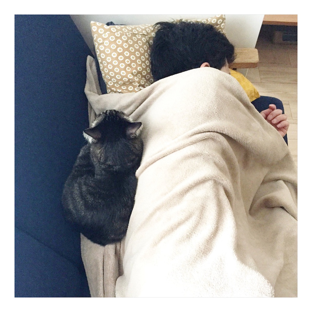 f:id:one-pic:20170507151415j:plain f:id:one-pic:20170507151415j:plain