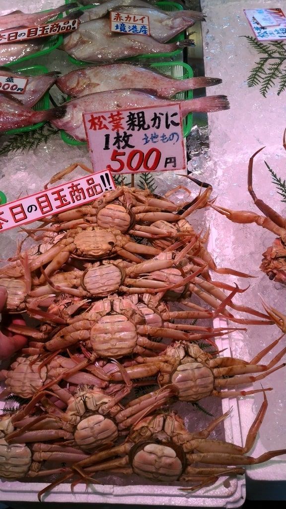 f:id:one-seater:20181208130134j:plain