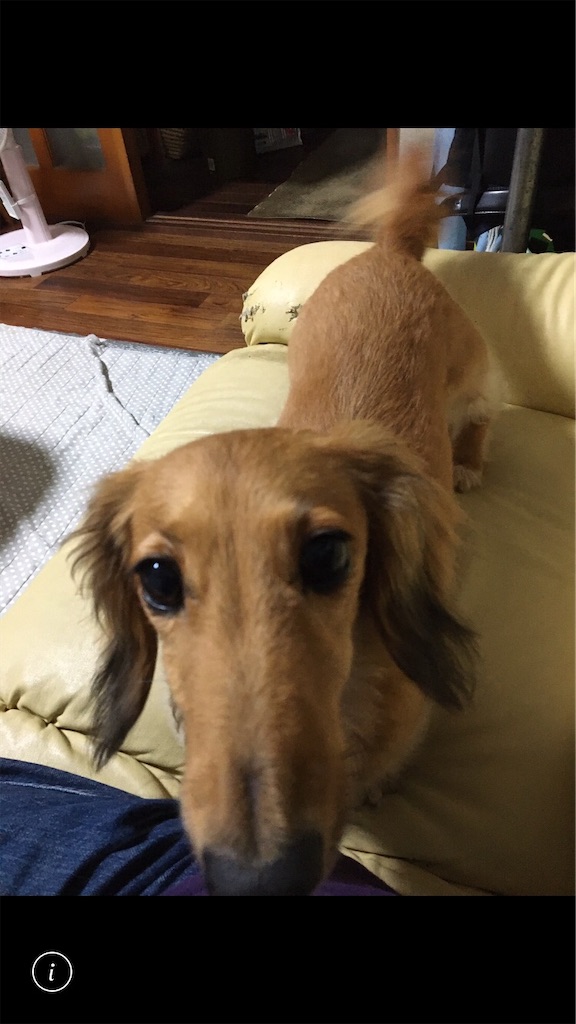 f:id:one-sumirin:20200930211620j:image