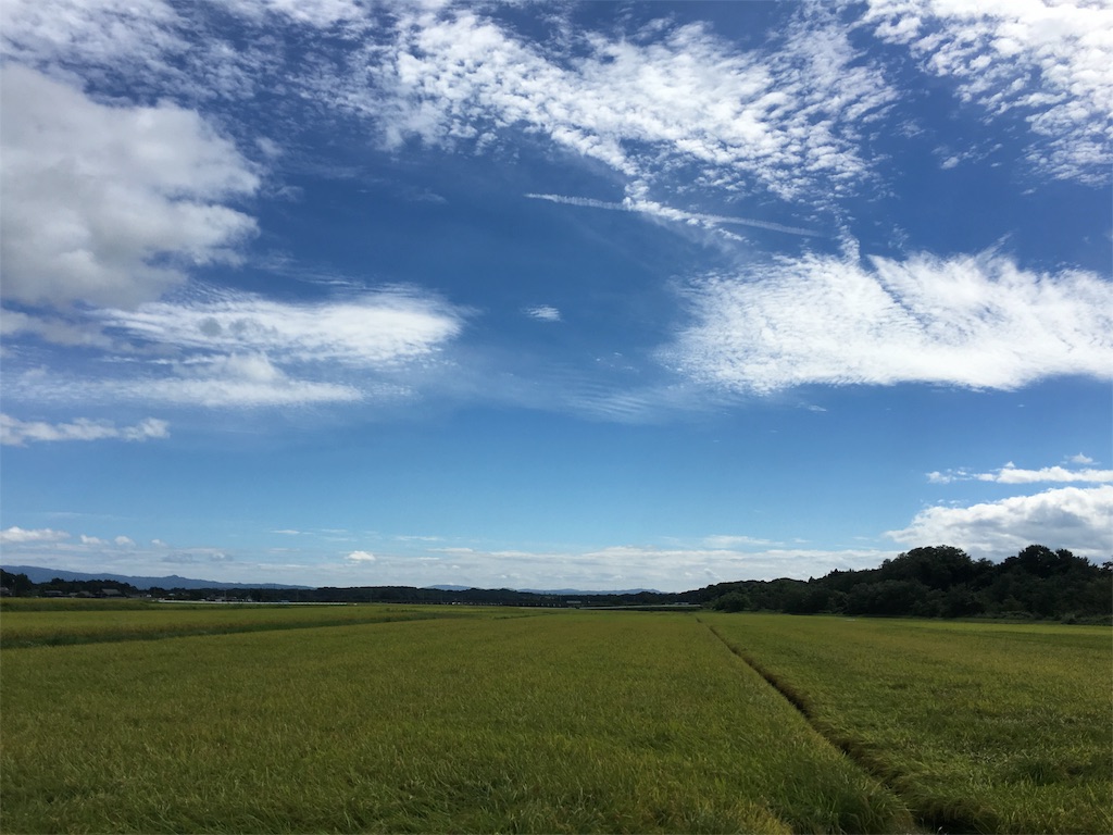 f:id:one00one:20160909114023j:image