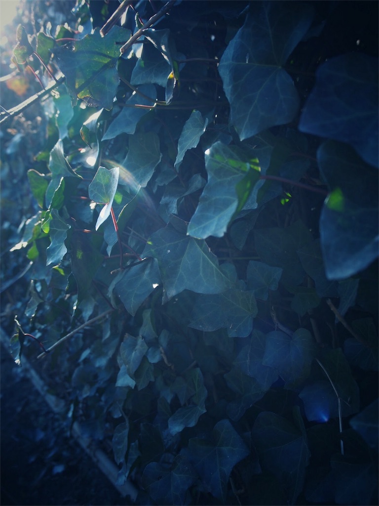 f:id:one00one:20161209160425j:image