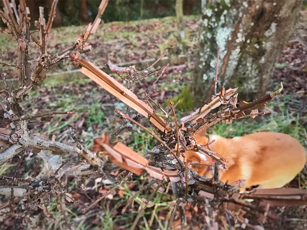 f:id:one00one:20161227180244j:plain