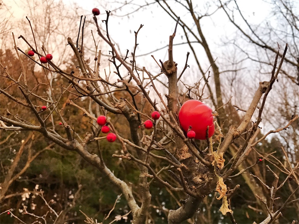 f:id:one00one:20161227180256j:plain