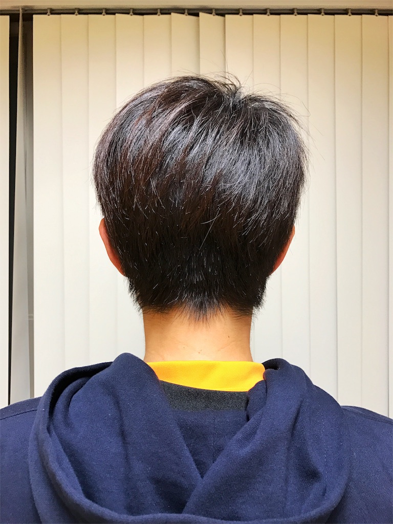f:id:one00one:20161227201947j:plain