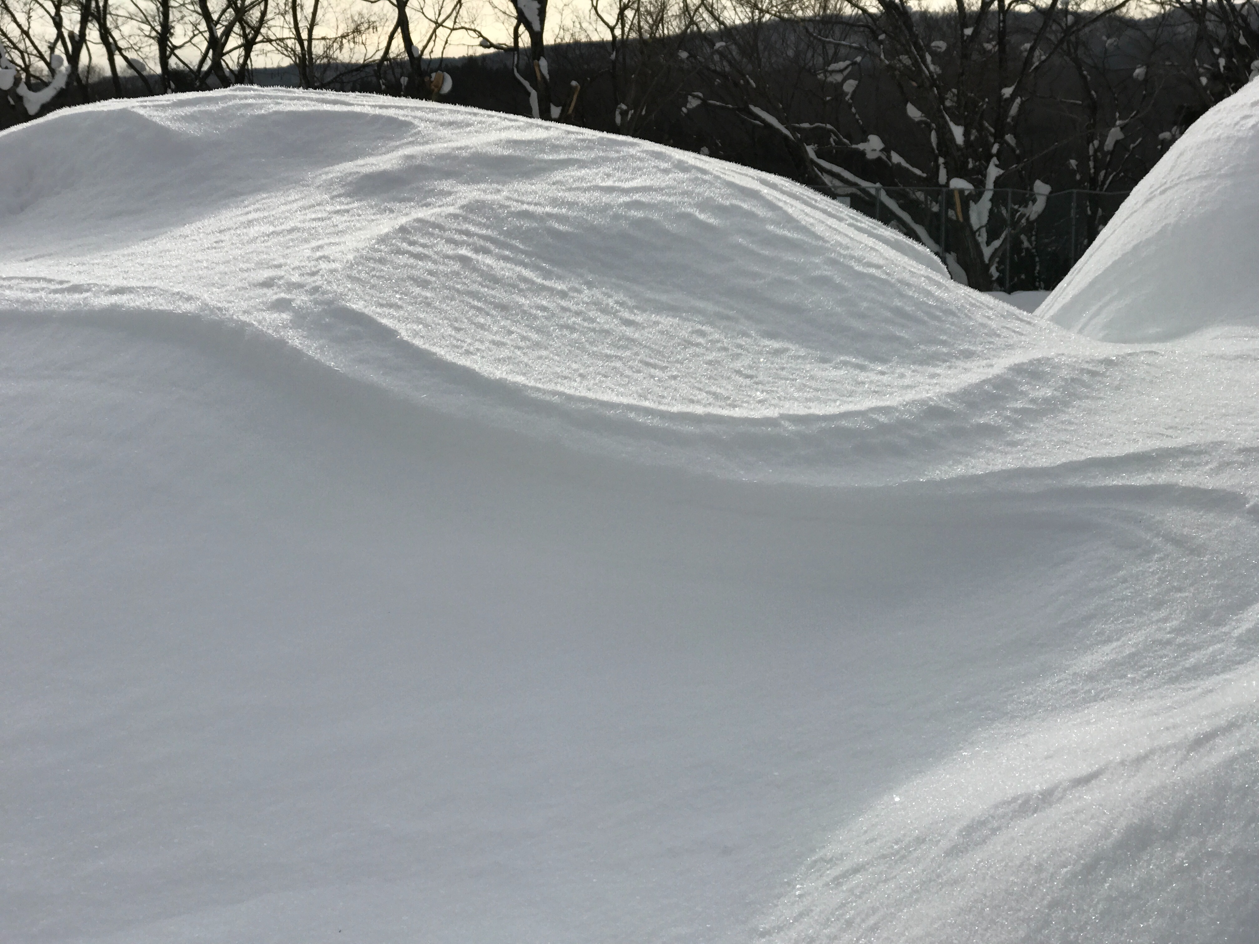 f:id:one00one:20170120132259j:plain f:id:one00one:20170120132259j:plain