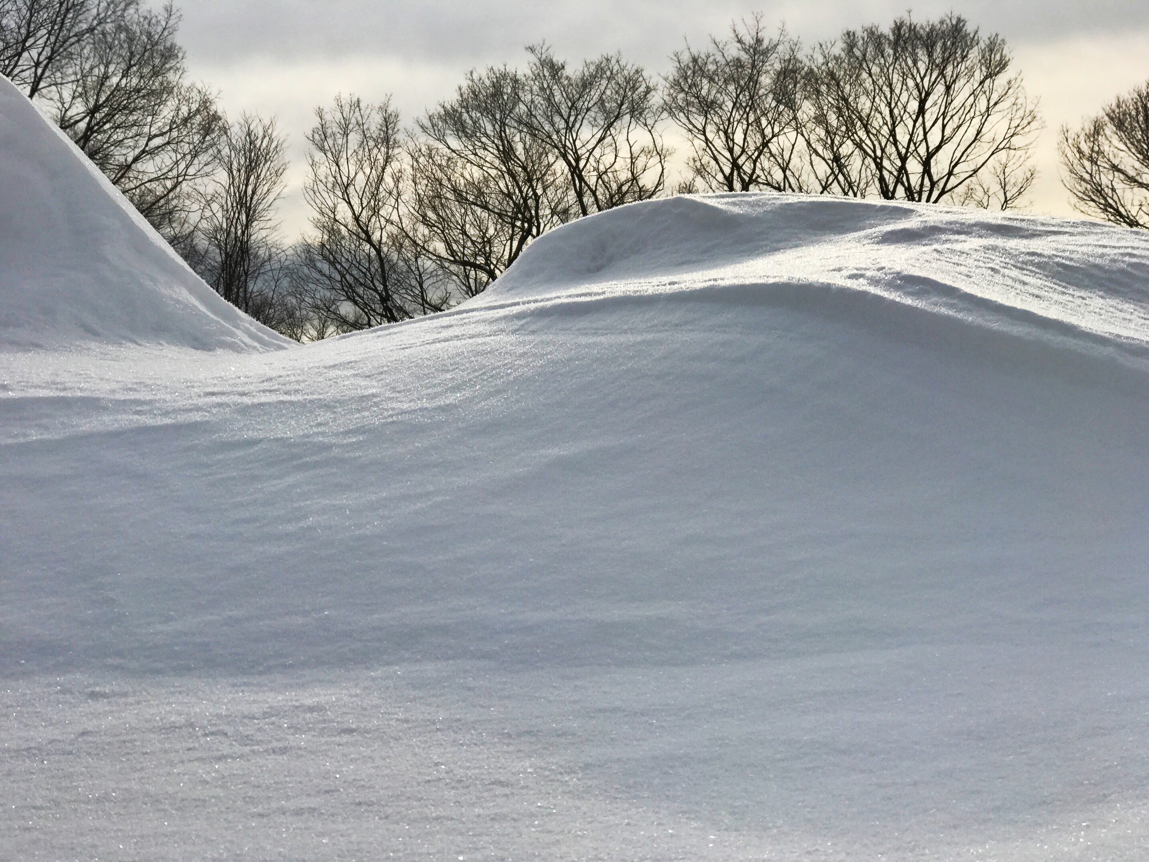 f:id:one00one:20170120132313j:plain f:id:one00one:20170120132313j:plain