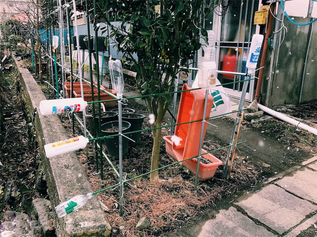 f:id:one00one:20170207132138j:plain f:id:one00one:20170207132138j:plain