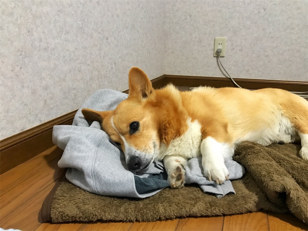 f:id:one00one:20170304101912j:plain
