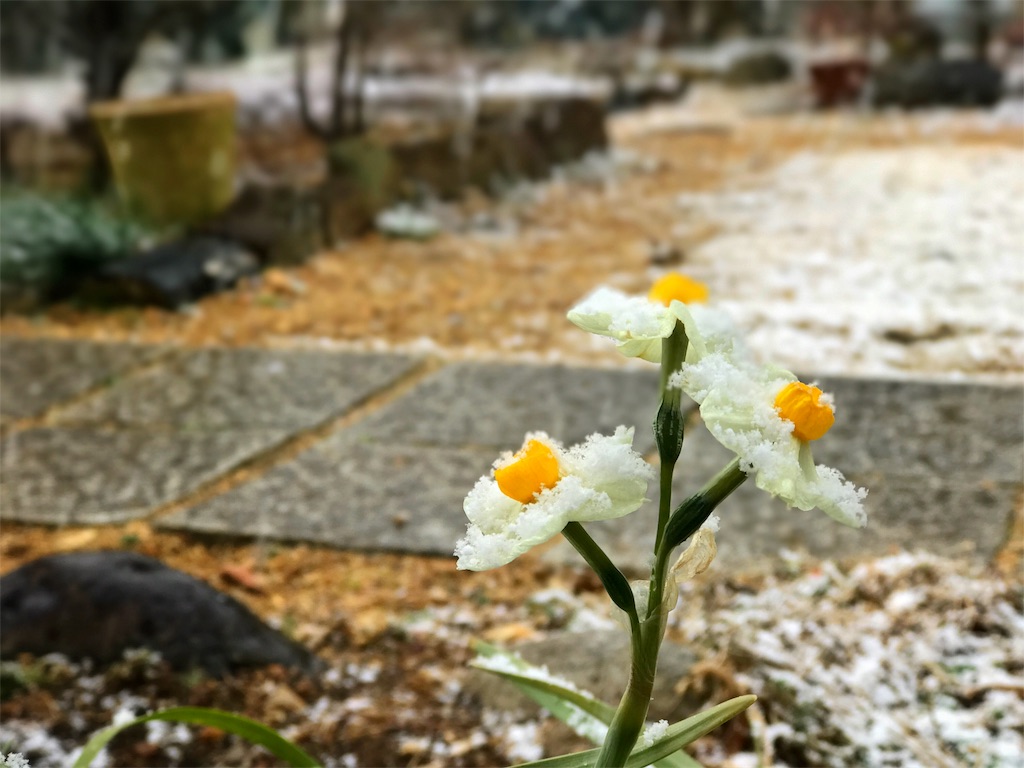 f:id:one00one:20170308100510j:plain