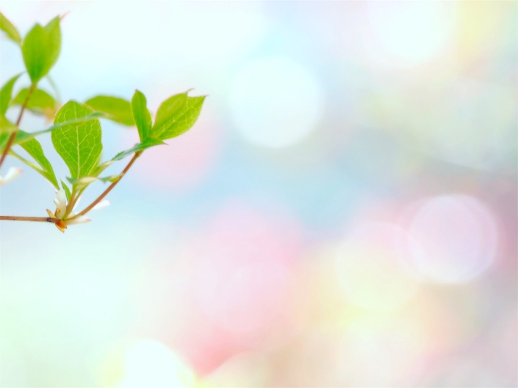 f:id:one00one:20170502164142j:plain