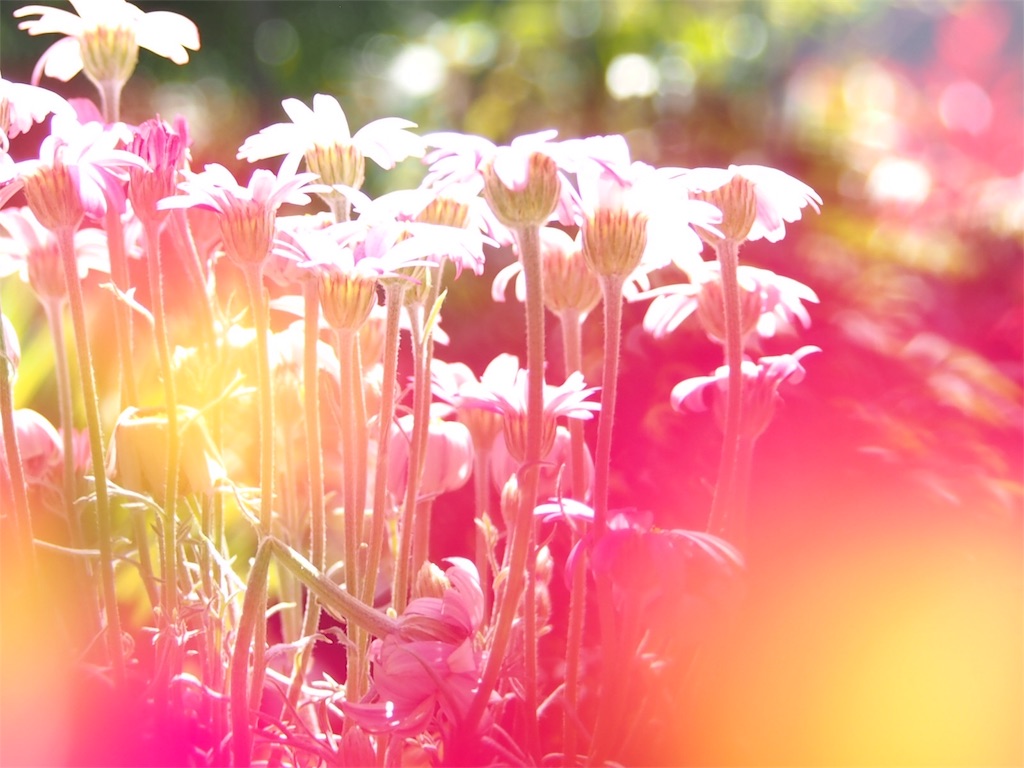 f:id:one00one:20170502164152j:plain