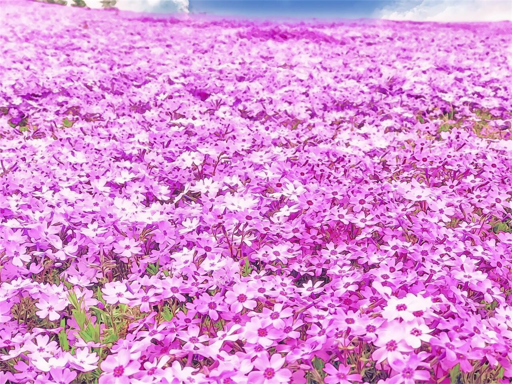 f:id:one00one:20170506193035j:plain