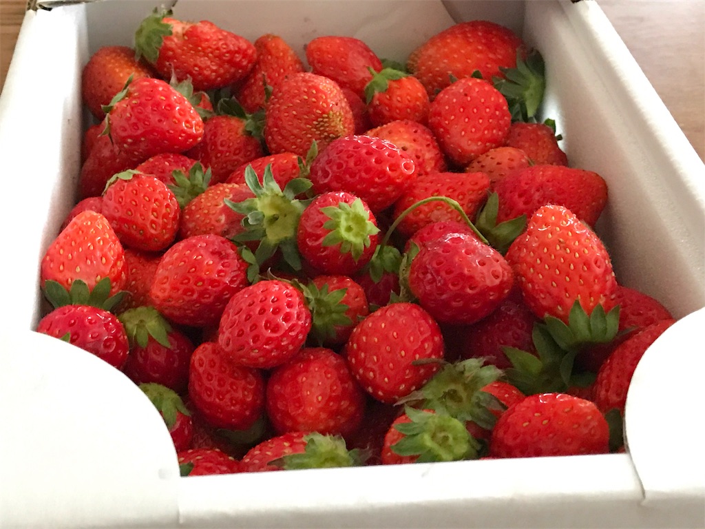 f:id:one00one:20170524174810j:plain