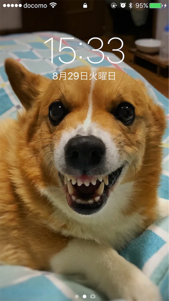 f:id:one00one:20170829155442p:plain f:id:one00one:20170829155442p:plain