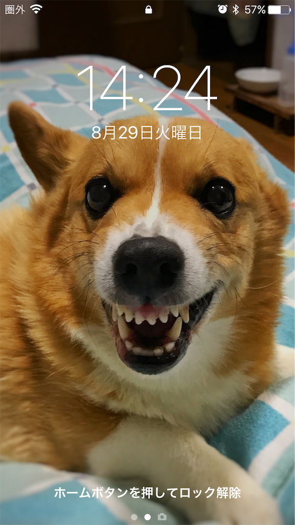 f:id:one00one:20170829155446p:plain f:id:one00one:20170829155446p:plain