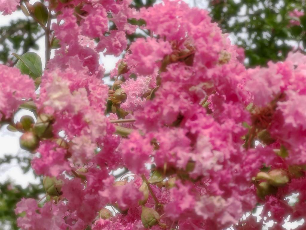 f:id:one00one:20170831181630j:plain f:id:one00one:20170831181630j:plain
