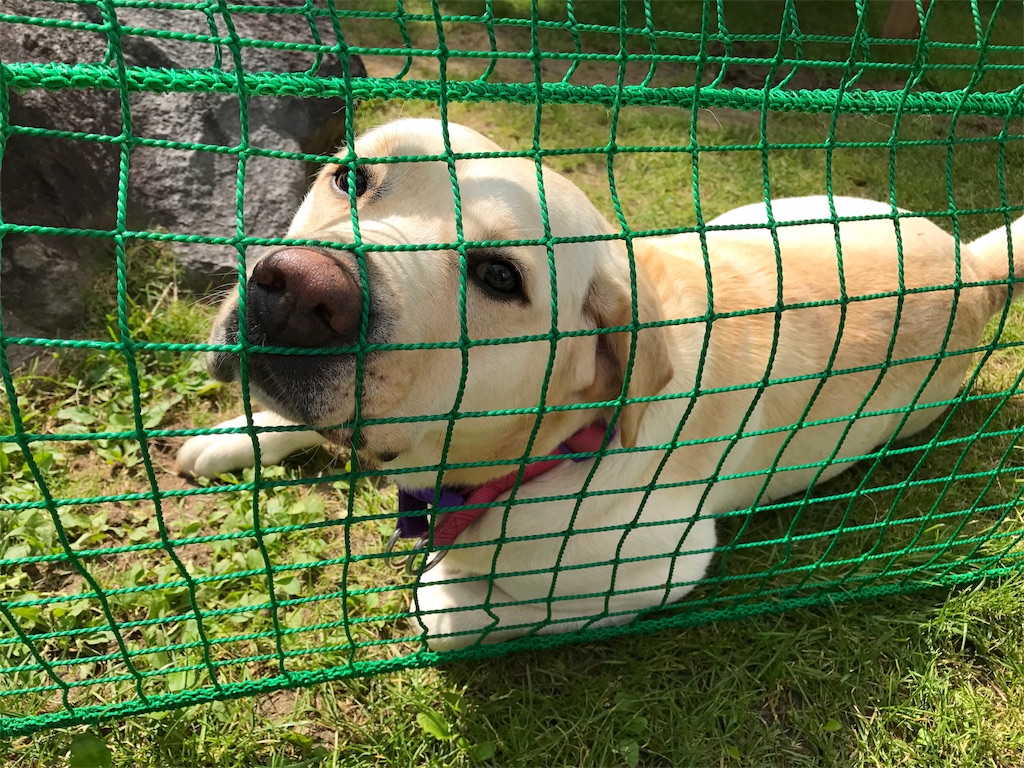 f:id:one00one:20170905145608j:plain