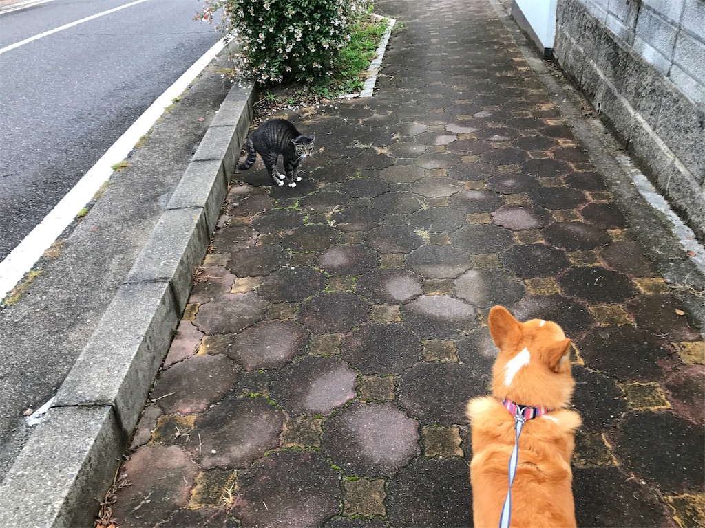 f:id:one00one:20170906170618j:plain