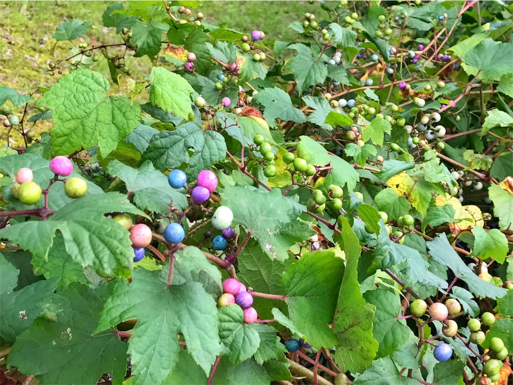 f:id:one00one:20170912175830j:plain