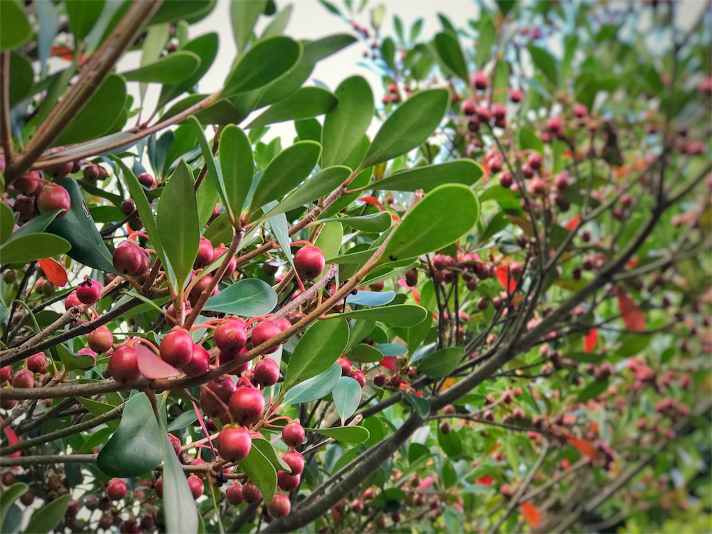 f:id:one00one:20170912175837j:plain