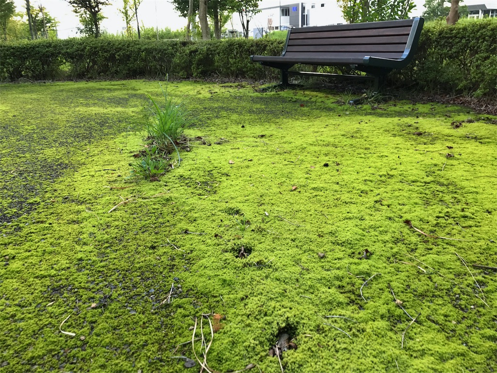 f:id:one00one:20170912175841j:plain