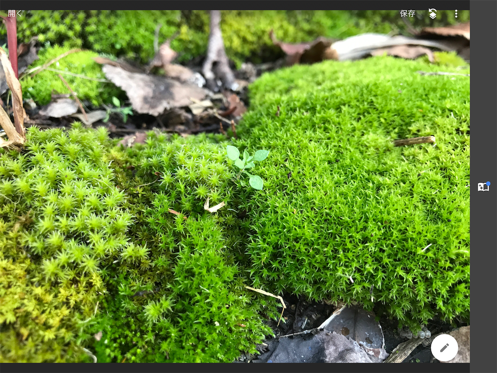 f:id:one00one:20170912181812p:plain